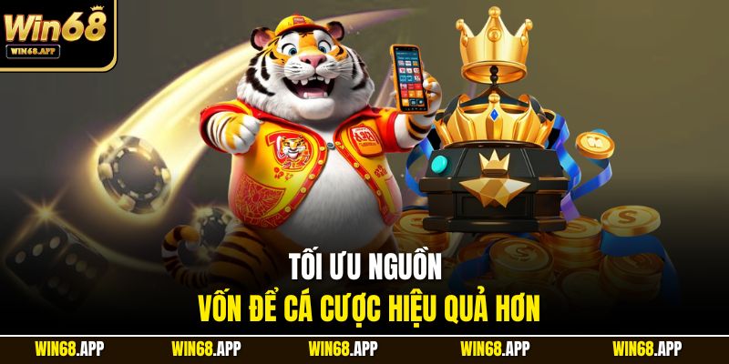 Tối ưu nguồn vốn để cá cược hiệu quả hơn